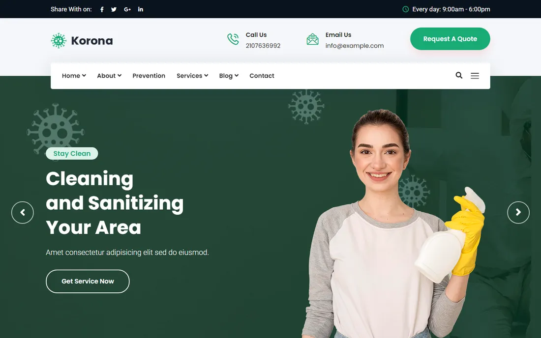 Cleaning services website design style